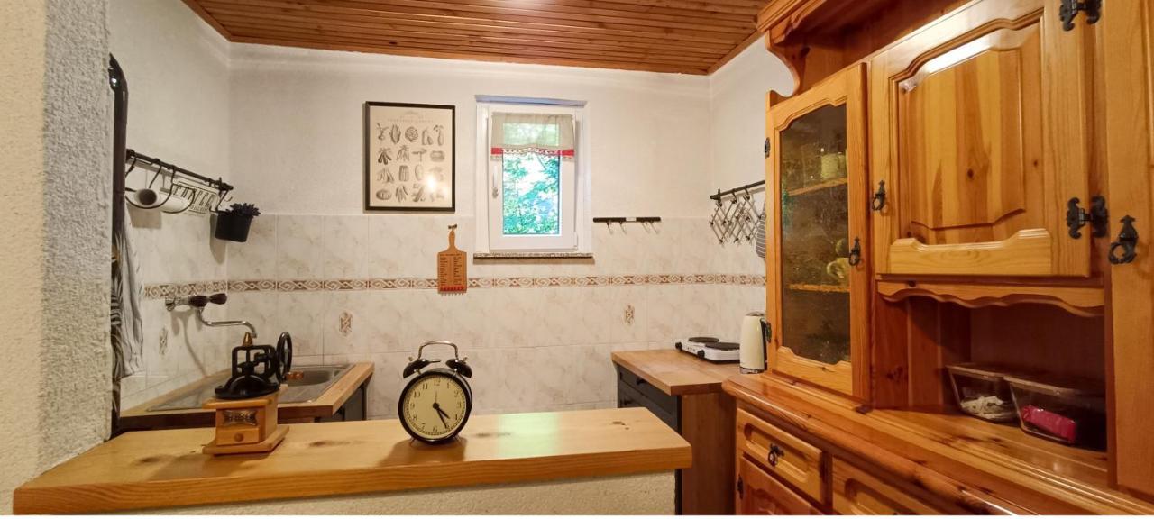 فيلا Koca Kresnica إليرسكا بسترتشا المظهر الخارجي الصورة